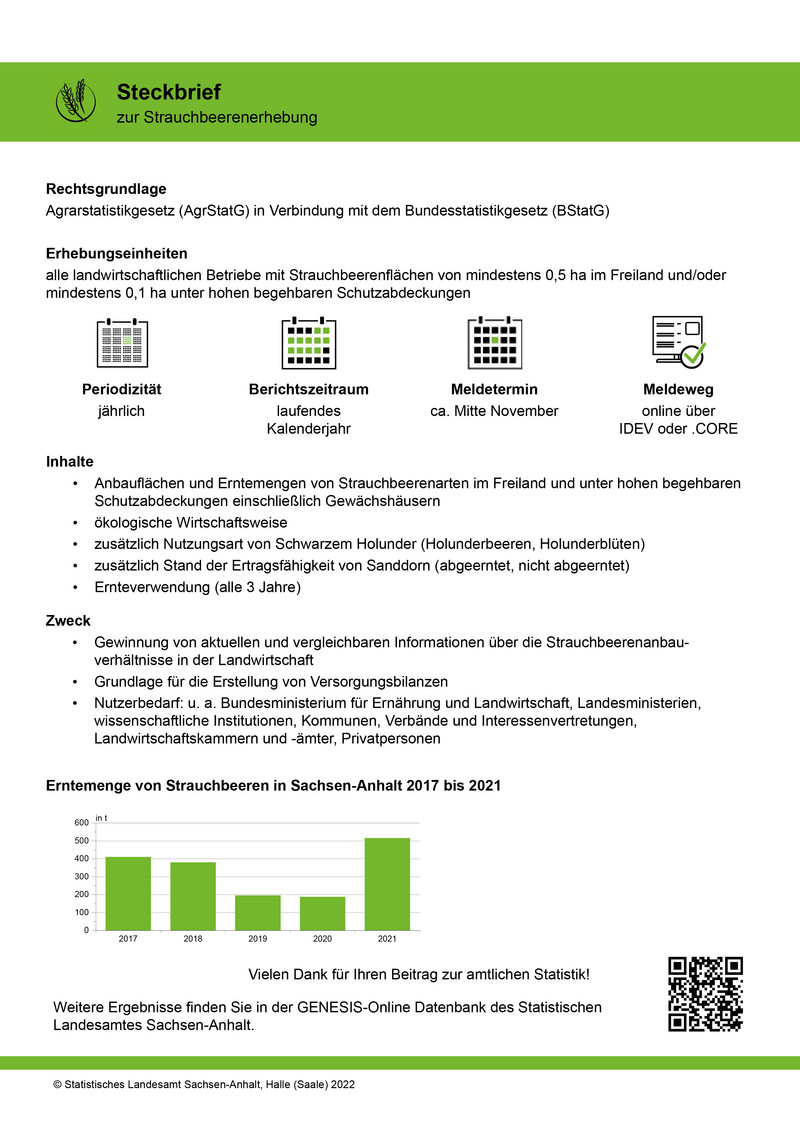 Abbildung des Steckbriefes Strauchbeerenerhebung
